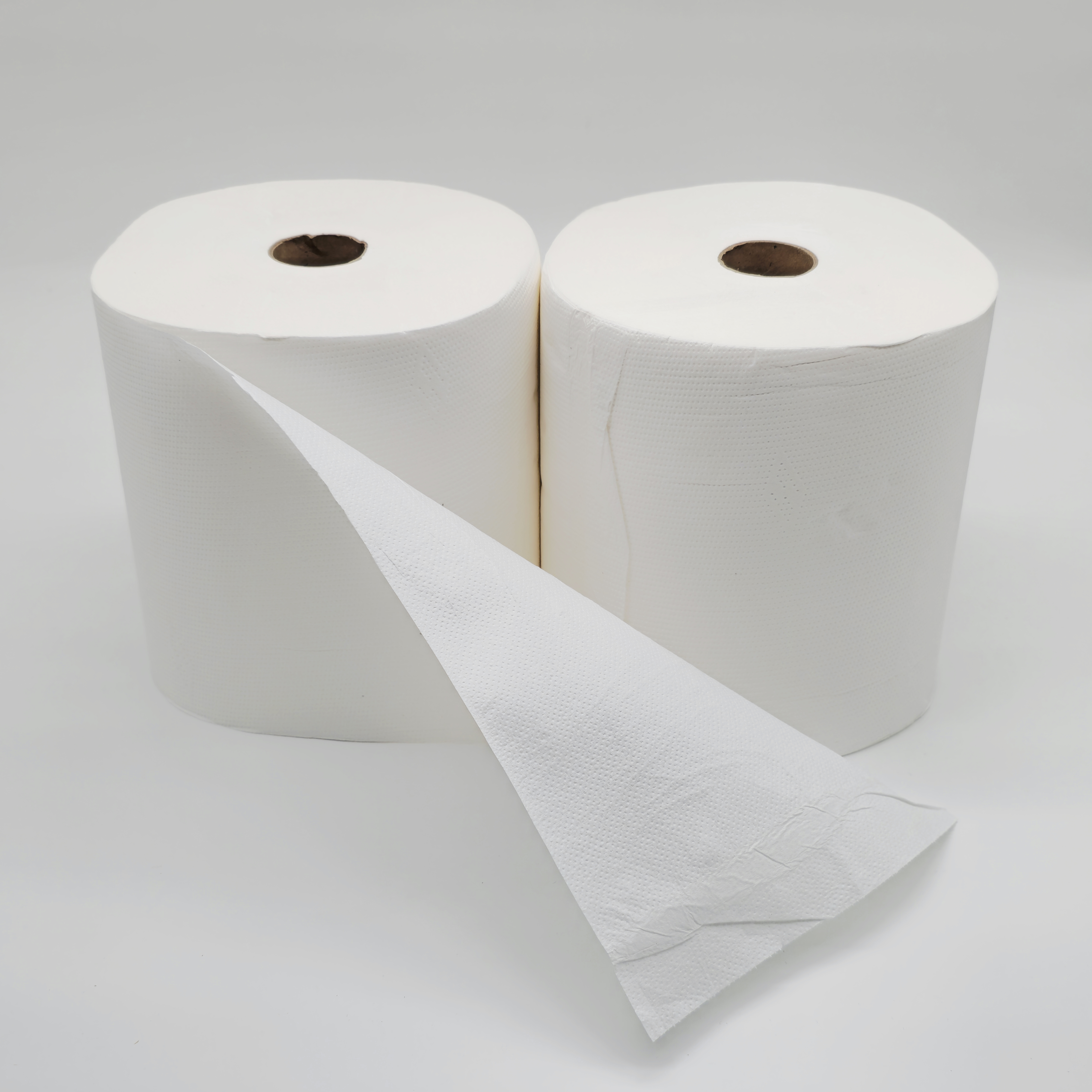 Handtuchrolle Zellstoff 2-lagig – Autocat | Papierhandtuchrolle für Spendersysteme